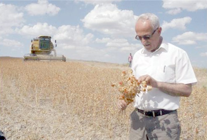 Türkiye’nin önemli tarım bölgelerinden olan Yozgat’ta aspir hasadına başlandı. İl