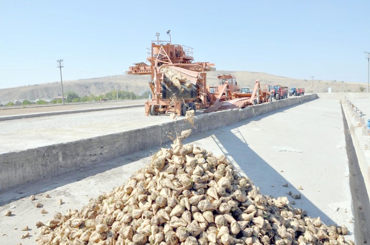 Sorgun’da 20. Dönem Pancar Alım Kampanyası törenle başladı. 
