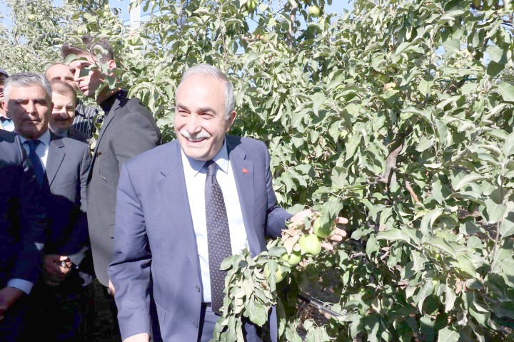 Yozgat’ın Kadışehri ilçesine bağlı Kabalı köyünde Meyve Bahçesinde incelemelerde bulunan