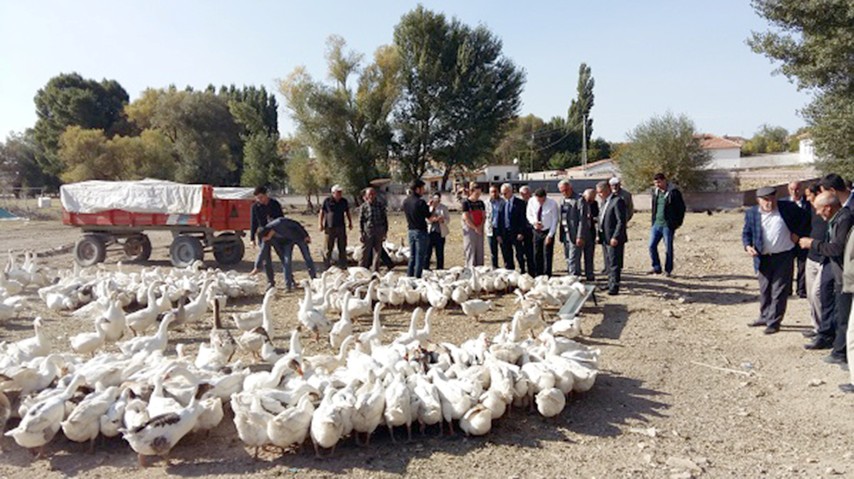 Kırsal tarımı desteklemek gelir düzeyinin artırılması için başlatılan “Genç Çiftçi