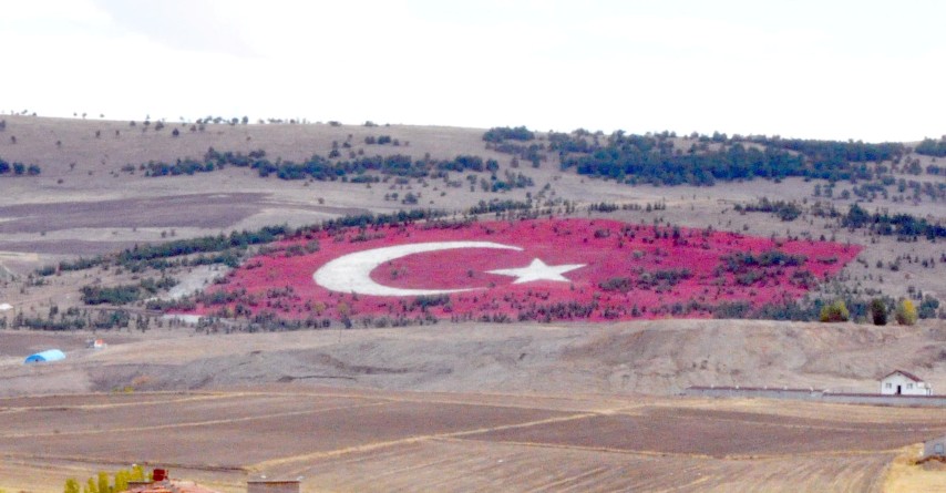 20 bin taş kullanılarak  Türk Bayrağı yapıldı