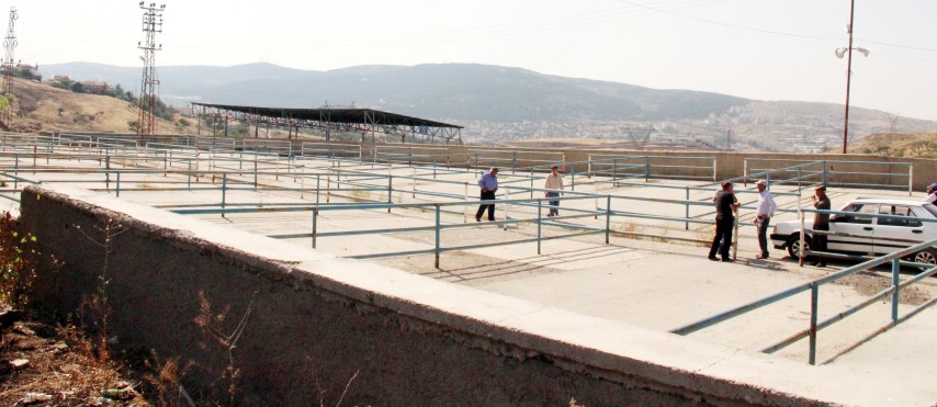 Aralarında Yozgat’ın da bulunduğu 6 il’de hayvan pazarları ikinci bir
