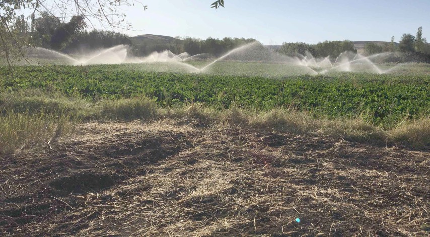 Orman ve Su İşleri Bakanlığı Devlet Su İşleri (DSİ) Genel