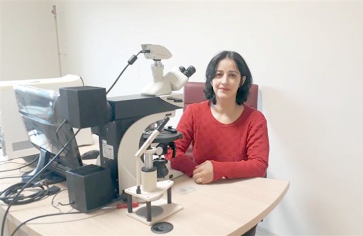 Yozgat Bozok Üniversitesi, Mühendislik-Mimarlık Fakültesi Jeoloji Mühendisliği Bölümü Öğretim Üyesi