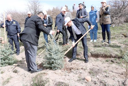 Yozgat Orman İşletme Müdürlüğü tarafından Yukarı Nohutlu Mahallesi Erkoç Tepe