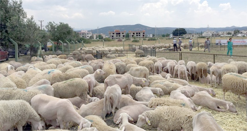 Gıda Tarım ve Hayvancılık Bakanı Fakıbaba, Resmi Gazete’nin bugünkü nüshasında