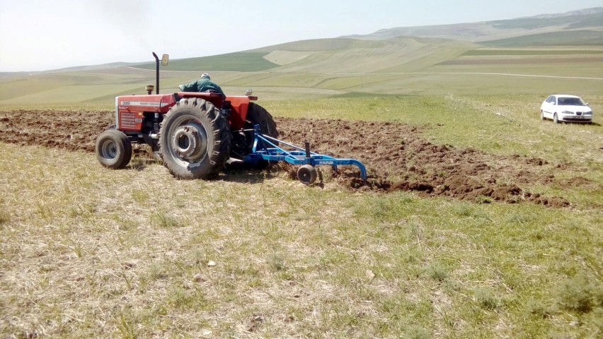 Türkiye'de tahıl ambarı olarak bilinen illerin başında gelen Yozgat'ta çiftçiler,