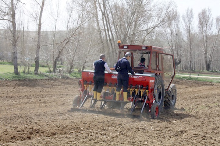 Yozgat’ta yaygın olarak ekilen nohut çeşitlerine alternatif olabilecek verimli ve