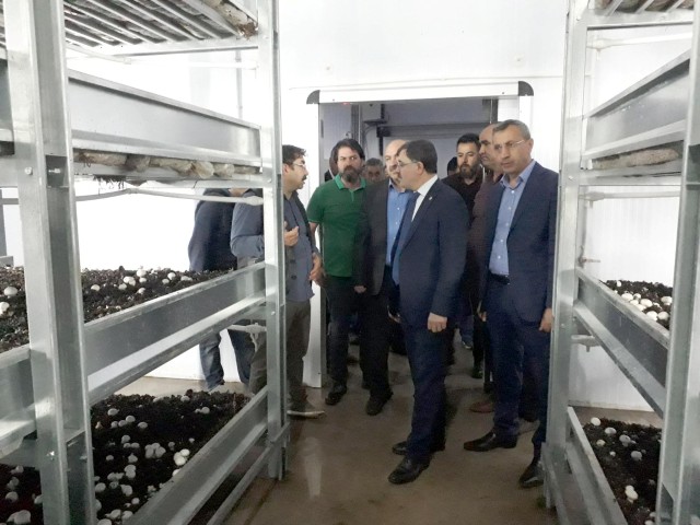 AK Parti Yozgat Milletvekili ve Seçim İşleri Başkan Yardımcısı Yusuf