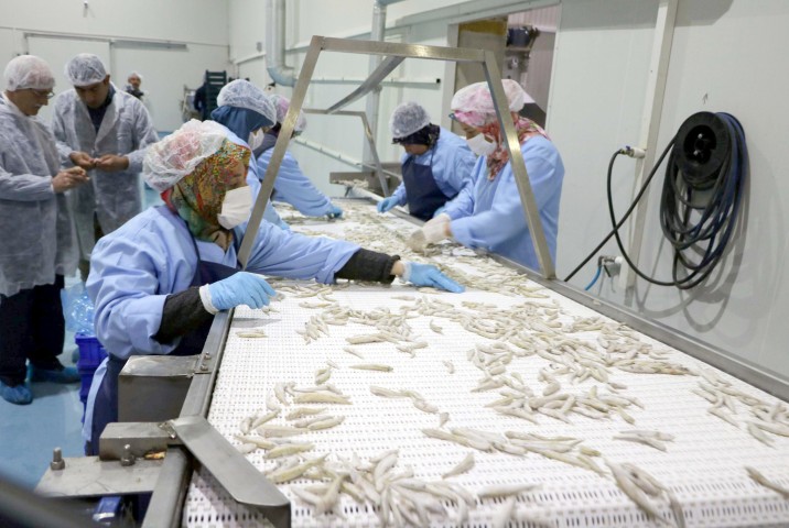 Denize kıyısı olmayan ve bozkırın ortasında yer alan Yozgat’ın Çekerek