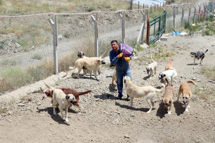 Yozgat'ta yaşayan İsmail Bolat, Sorgun’da bir arazide kendi imkanlarıyla yaptığı