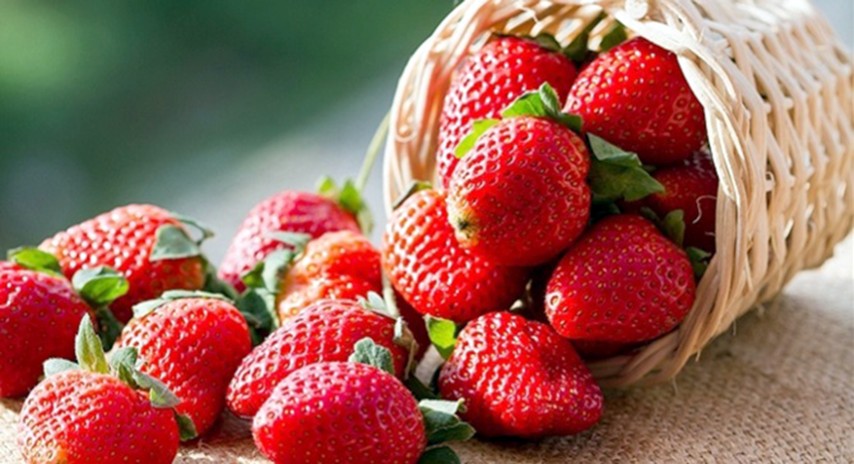 Yozgat İl Gıda Tarım ve Hayvancılık İl Müdürlüğü, ilde hayata