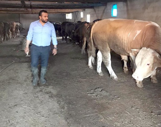Tarım ve hayvancılık açısından büyük bir öneme sahip Yozgat’ta besiciler,