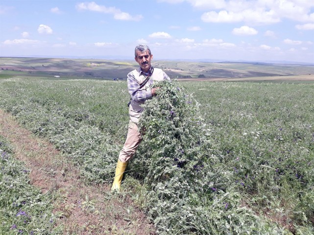 Yozgat İl Gıda Tarım ve Hayvancılık İl Müdürlüğü ilde hayvan
