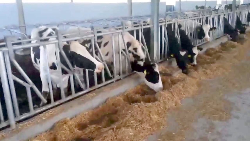 Türkiye Ziraat Odaları Birliği (TZOB) Genel Başkanı Şemsi Bayraktar, 5