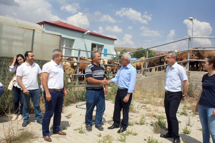 Yozgat’ta çiftçilere 550 büyükbaş hayvan dağıtımı yapıldı