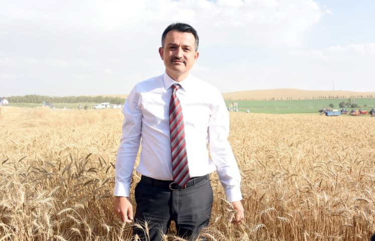 Tarım ve Orman Bakanı Bekir Pakdemirli, "Tahılda 35 milyon 815