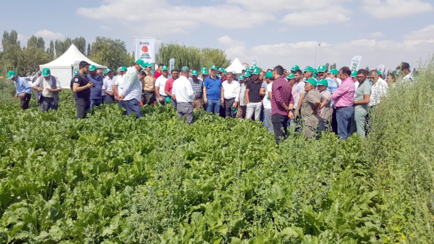 Kayseri Şeker tarafından Şeker pancarı tarımını geliştirmek ve sahip çıkmak