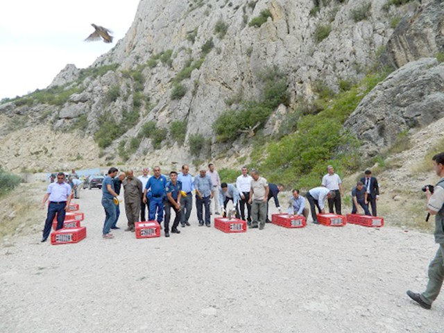 Doğa Koruma ve Milli Parklar Sorgun Şube Müdürlüğü tarafından Aydıncık