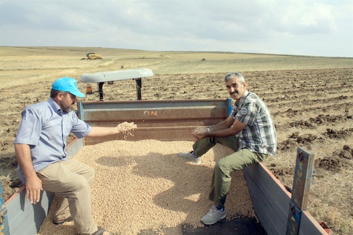Yozgat İl Gıda Tarım ve Hayvancılık İl Müdürlüğü, toprak işlemsiz