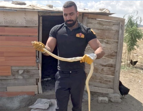 Yerköy İtfaiye Ekipleri son günlerde sıkça görülmeyen başlayan yılanlar halk