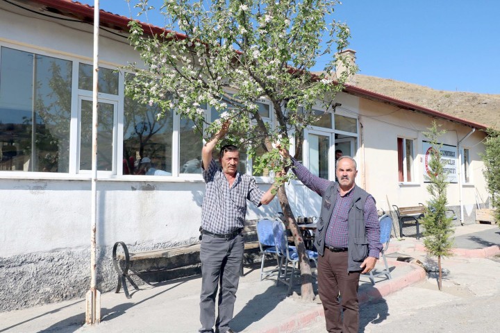 Sonbahar mevsiminin gelmesiyle birlikte ağaçlar yapraklarını dökmeye başlarken, Yozgat’taki bazı