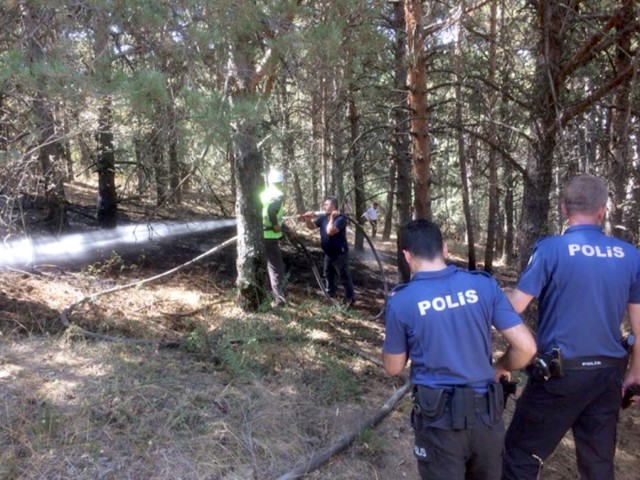 Yozgat’ın ilk Milli Parkı Çamlık’ta çıkan yangın ekiplerin ve vatandaşların