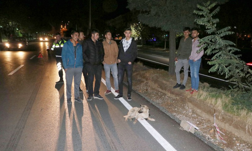 Yozgat'ta E-88 karayolunda araba çarpması sonucu iki bacağı da kırılarak