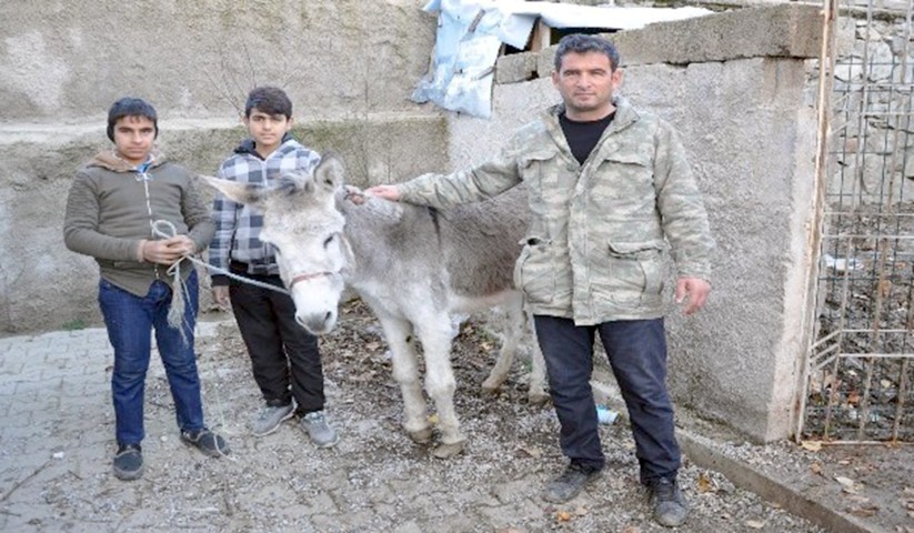 Yozgat’ın Sorgun ilçesinde yaralı ve aç halde bulunan eşeğe, hayvanseverler