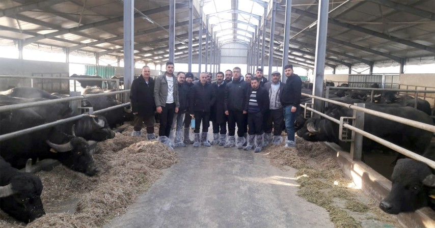Yozgat’ta Manda Yetiştiriciliğinde Verimlilik, Süt Hijyeni ve Kalitesini Artırma projesi