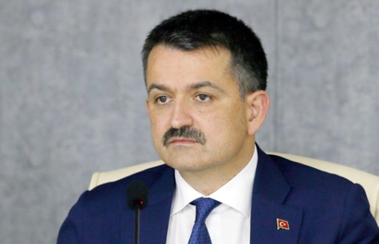 Tarım ve Orman Bakanı Bekir Pakdemirli, buzağı destekleri ödemelerine önümüzdeki