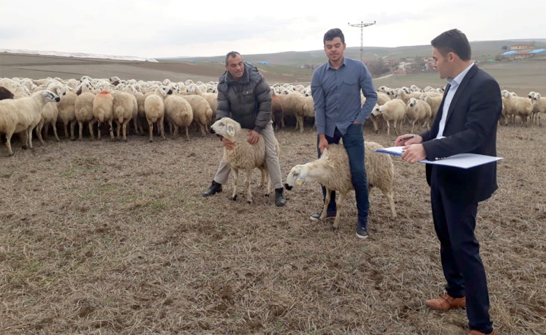 Kendi işlerini kurmaya başladılar