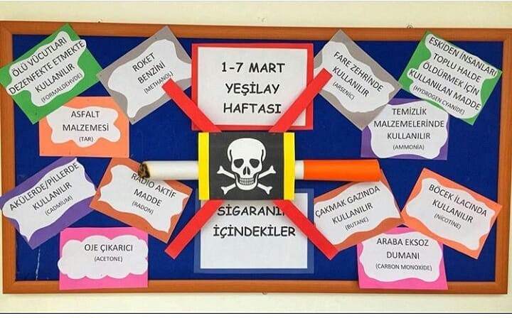 1-7 Mart Yeşil Ay Haftası dolayısıyla Yozgat Çözüm Koleji Bilişim