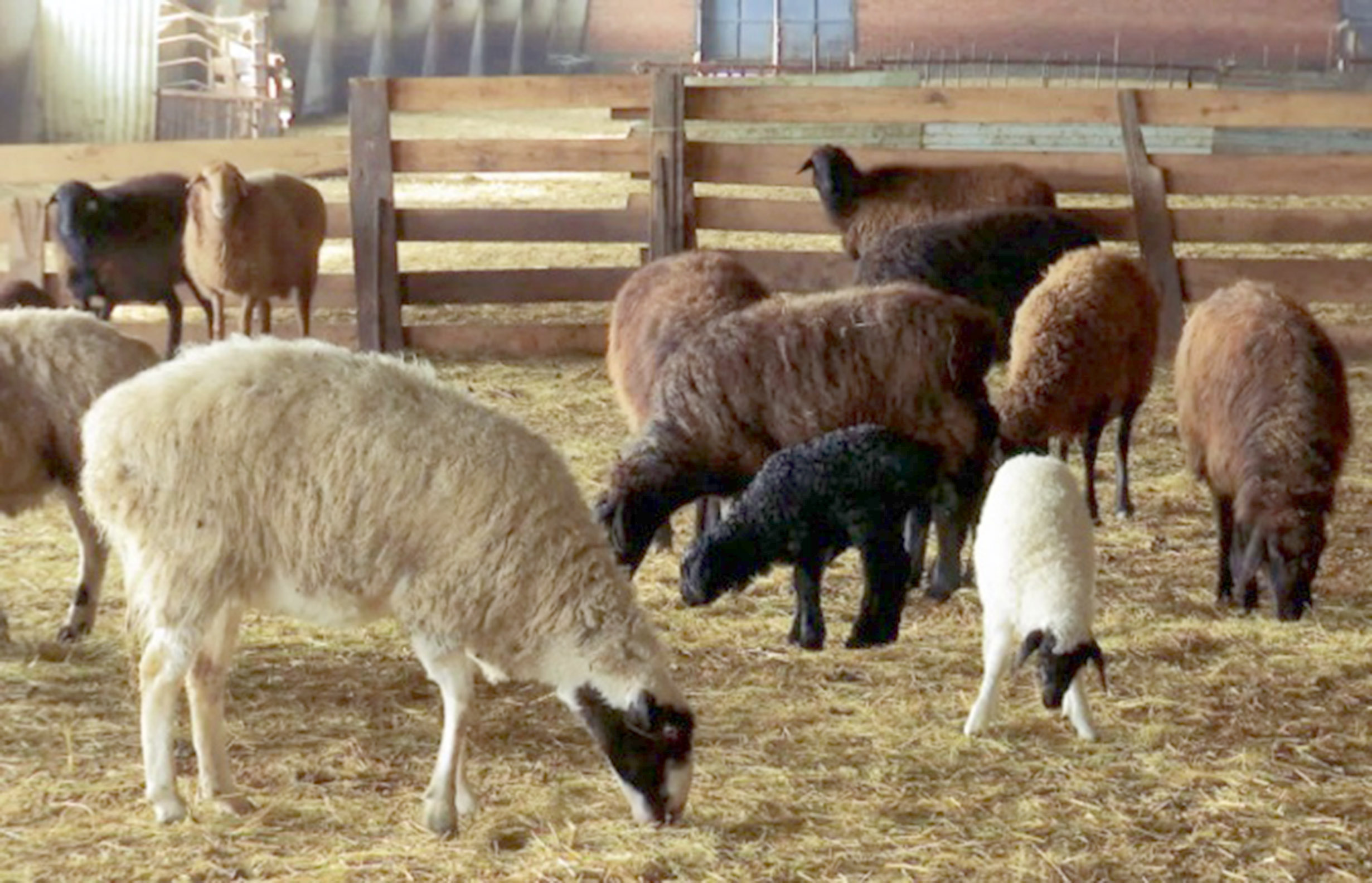 Yozgat İl Tarım ve Orman Müdürlüğü tarafından Konya Ovası Projesi