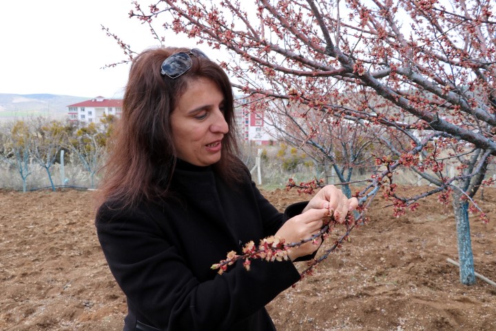 Yozgat’ta etkili olan kar yağışı ve soğuk hava nedeniyle erken
