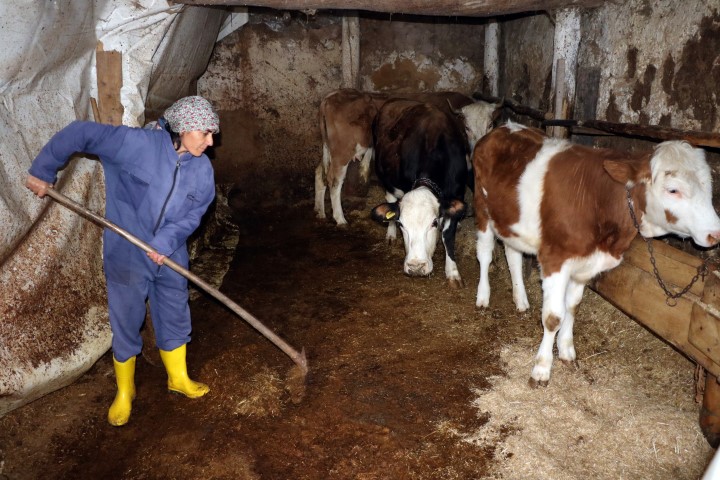 Muhtarlık düşüncesi aklında yokken ailesi ve akrabalarının yönlendirmesiyle 31 Mart