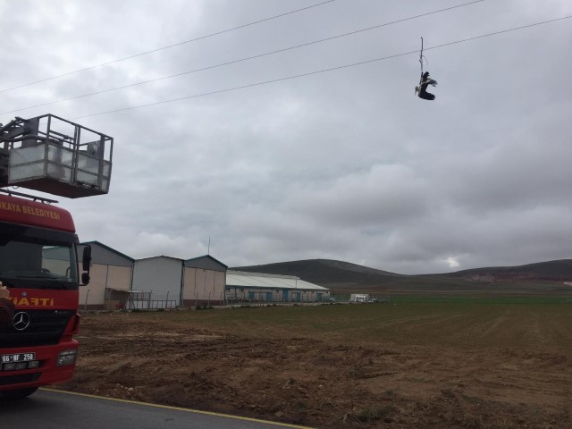 Yozgat’ın Sarıkaya’ya ilçesinde elektrik tellerine takılan leylek, itfaiye ekipleri tarafından