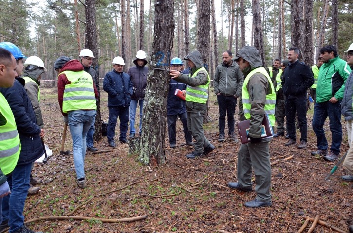 Kayseri Orman Bölge Müdürlüğü tarafından Yozgat’ın Çayıralan ve Akdağmadeni ilçesinde