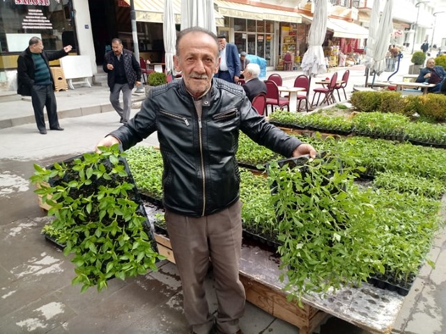 Yozgat’ta İlkbahar aylarında tohumu atılan sebze fideleri, Yozgat’ta birçok noktada
