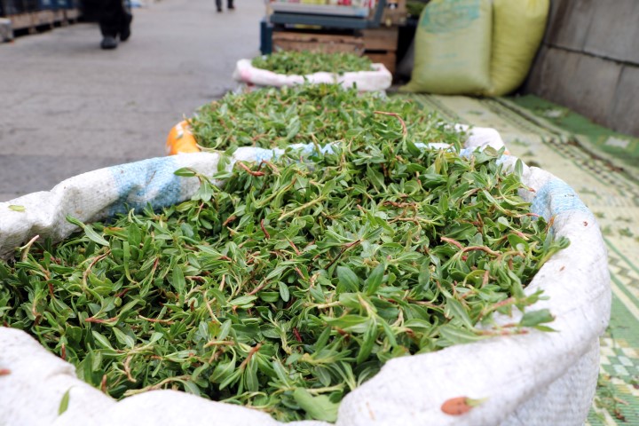 Yozgatlıların damak tatları arasında ayrı bir yeri bulunan madımak, tezgahlardaki
