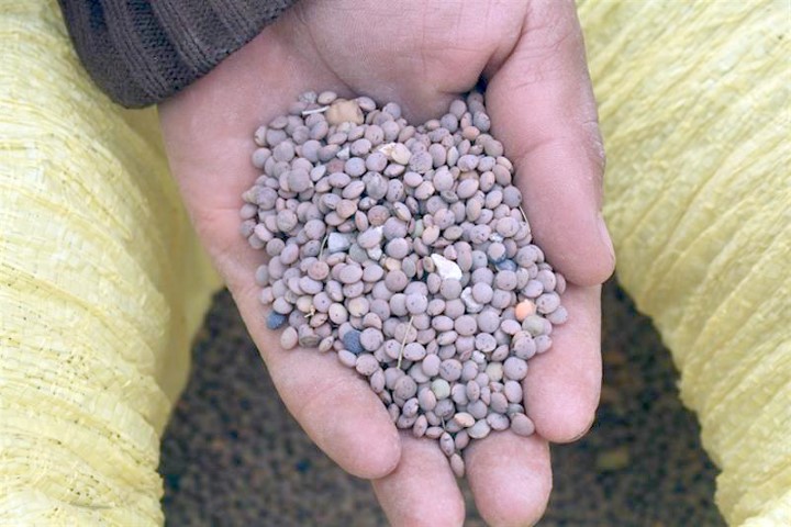 Yozgat İl Tarım ve Orman Müdürlüğü ekipleri il genelinde yerli