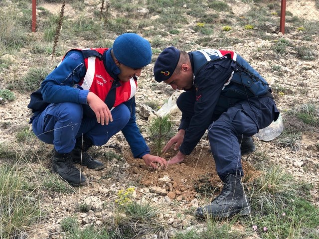 Yozgat İl Jandarma komutanlığı ekipleri Saraykent İlçesinde kaçak kazı yaptığı