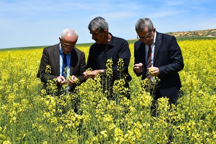 Yozgat İl Tarım ve Orman Müdürlüğü ekipleri tarafından Hububat baklagil