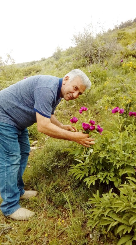 Bir zamanlar Yozgat’ta yetiştirilerek yurtiçine ve yurtdışına  ihraç edildiği halde bugün