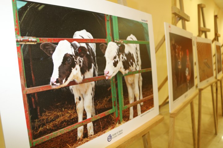 Tarım ve Orman Bakanlığı tarafından düzenlenen ‘Tarım ve İnsan’ konulu