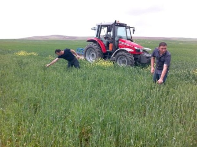 Türkiye'nin önemli tarım bölgelerinden biri olan Yozgat'ta, Ekim ayında tarlasına