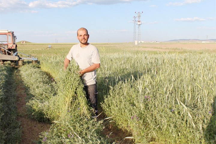 İlimiz Boğazlıyan İlçemize bağlı Yenipazar beldesinde uygulanan Toprak İşlemesi tarım