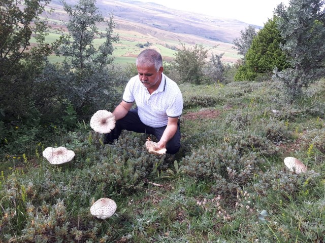 Yozgat’ta yaklaşık iki haftadır etkisini sürdüren sağanak yağışlar doğada kendiliğinden
