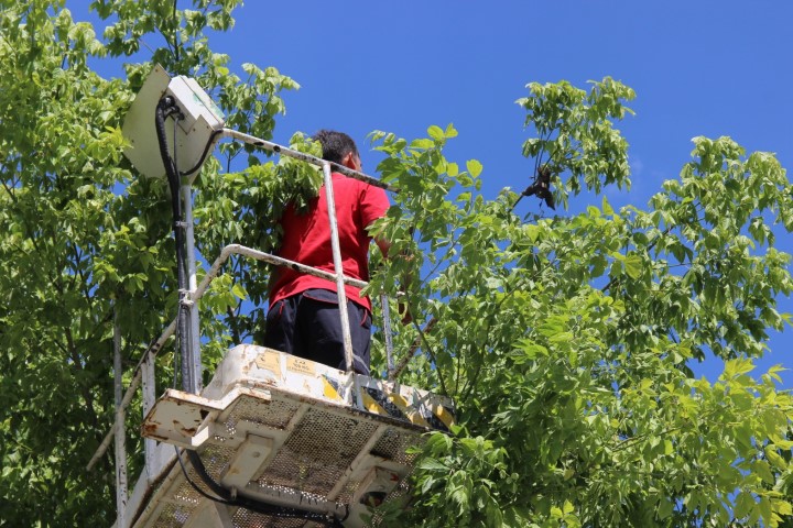 Yozgat’ta bir ağacın dalına takılarak bacağı kırılan sığırcık kuşunu itfaiye
