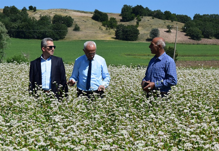 Yozgat İl Tarım ve Orman Müdürülüğü tarafından Merkez Dambasan köyünde